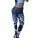 Fitness Quick Dry Leggings